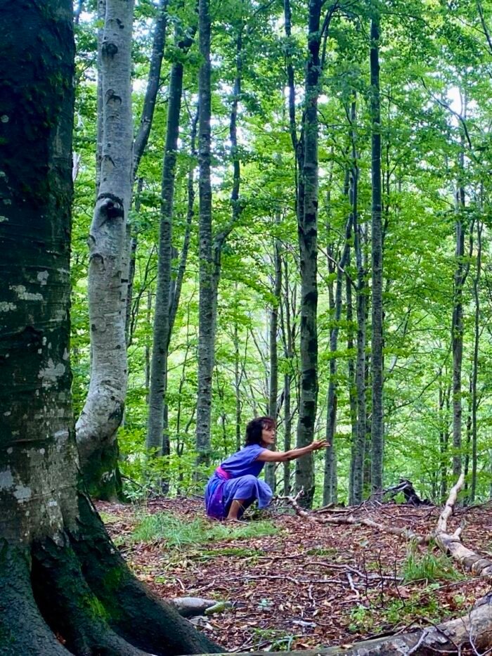 4875ac90-0219-486d-b819-29b24d524bab