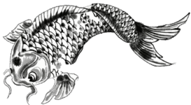 fish1_transparent